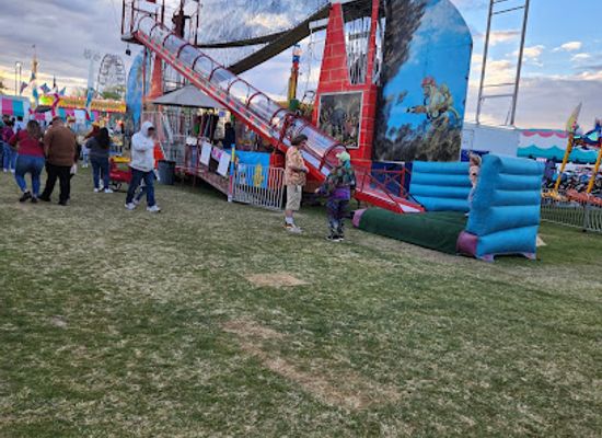 arizona/chandler/attraction/ostrich-festival