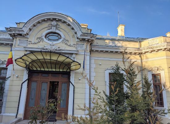 romania/ilfov/attraction/george-severeanu-museum