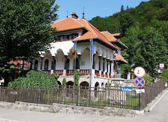romania/prahova/attraction/cezar-petrescu-memorial-museum