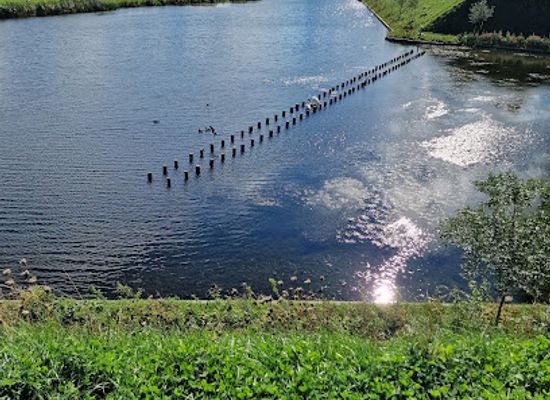 netherlands/vechtstreek/attraction/muiderslot