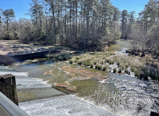 mississippi/desoto-national-forest/attraction/percy-e-quin-state-park