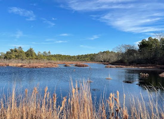 new-jersey/pine-barrens/attraction/whitesbog-historic-village