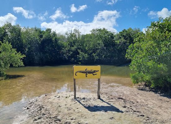 mexico/holbox-island/attraction/bioluminiscencia