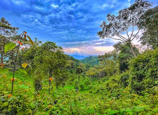 rwanda/cyangugu/attraction/uwinka-visitor-center