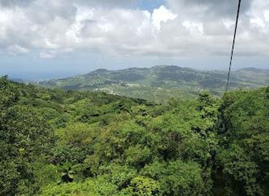 saint-lucia/dauphin/attraction/rainforest-adventure