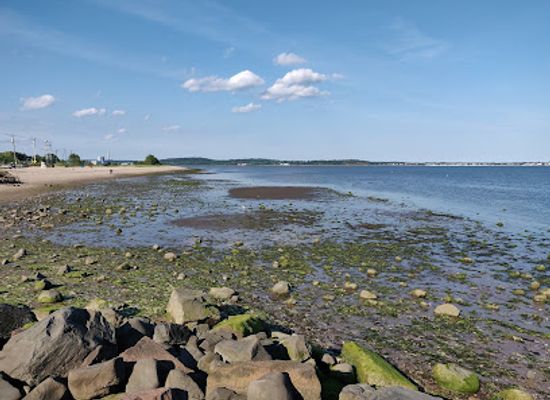 connecticut/long-island-sound/attraction/morse-park