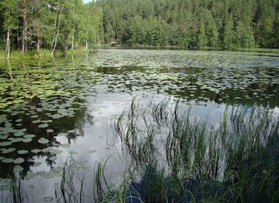 finland/halti/attraction/korpinkierros-trail