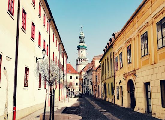 hungary/sopron-region/attraction/zichy-mesko-palota