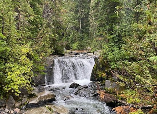 washington/mount-rainier-national-park/attraction/ruby-falls