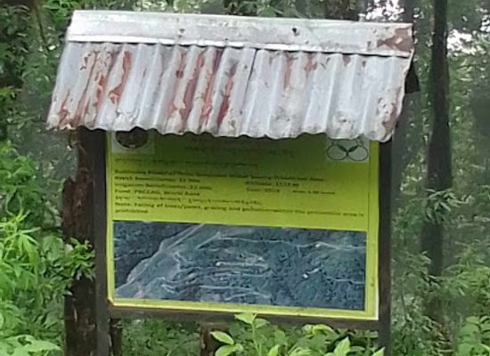 bhutan/chhukha-district/attraction/thulo-dumtoe-s-community-forest
