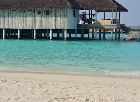 maldives/raa-atoll/attraction/palm-beach
