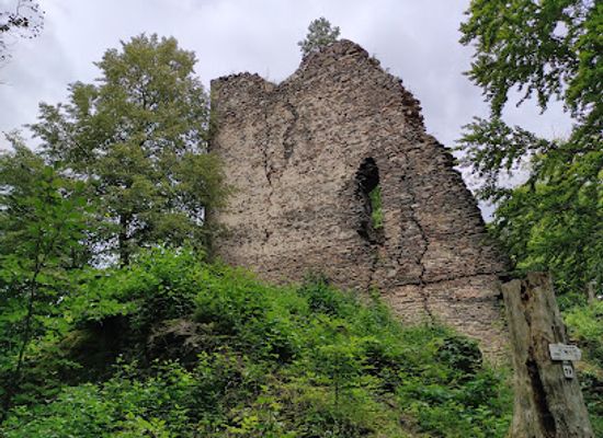 czechia/sumava/attraction/pajrek-castle