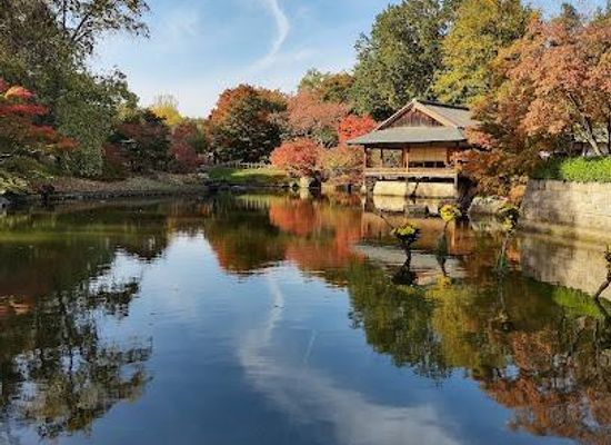 netherlands/maastricht/attraction/japanese-garden