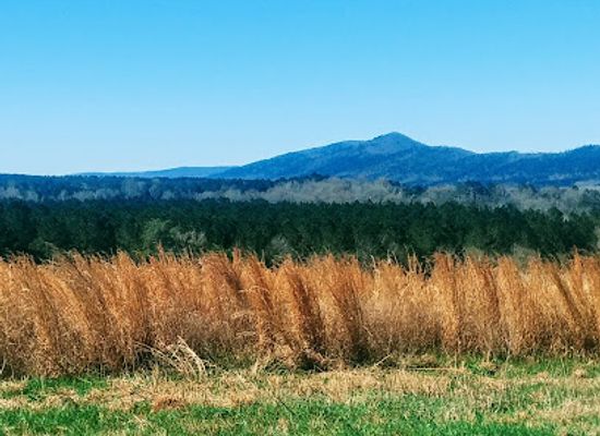 alabama/piney-woods/attraction/dugger-mountain-wilderness-natural-healing-center