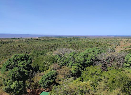madagascar/majunga/attraction/phare-de-katsepy