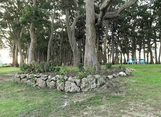 barbados/saint-philip/attraction/pool-woods
