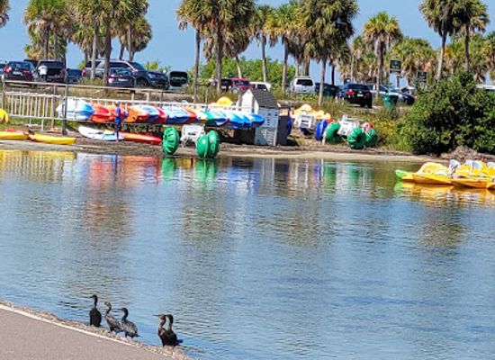 florida/sun-coast/attraction/fred-howard-park