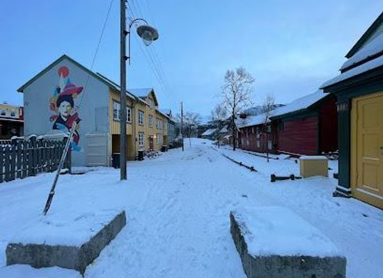 norway/tromso/attraction/tromso-budget-tours