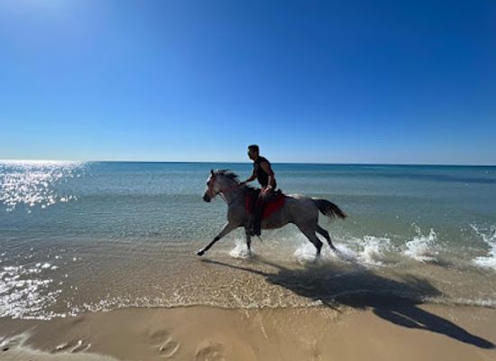 tunisia/the-cap-bon-peninsula/attraction/club-equus-hammamet