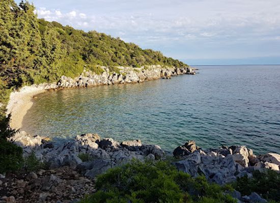 croatia/lika/attraction/olive-gardens-of-lun