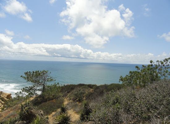 california/san-diego-county/attraction/torrey-pines-state-natural-reserve