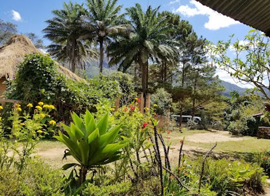 madagascar/mandrare-river/attraction/reserve-peyrieras-madagascar-exotic