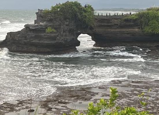 india/kochi/attraction/somans-leisure-tours-india-pvt-ltd