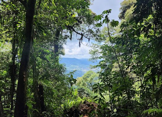 nicaragua/selva-negra-coffee-estate/attraction/mirador-hacia-matagalpa-selva-negra
