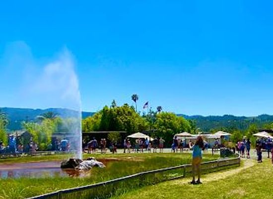 california/napa/attraction/old-faithful-geyser-of-california