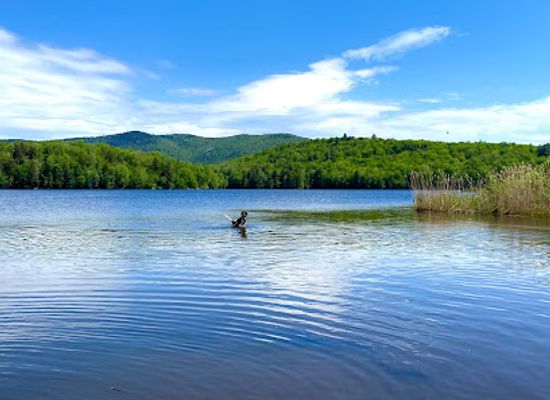 vermont/killington/attraction/sherburne-trails