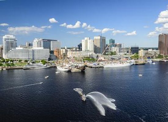 virginia/chesapeake/attraction/visitnorfolk