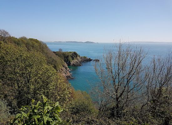 guernsey/brecqhou/attraction/bluebell-woods