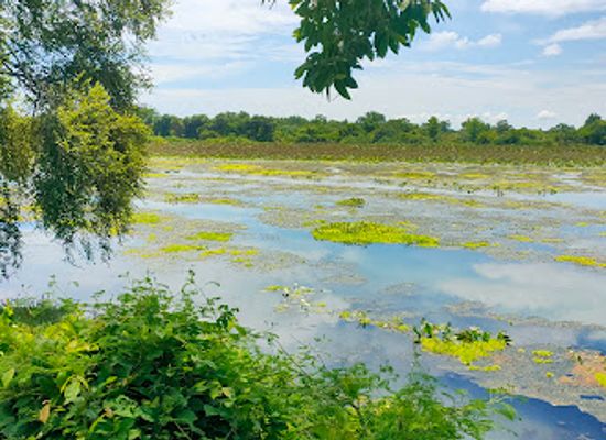 cambodia/kratie/attraction/romnea-dontrea-tukchea