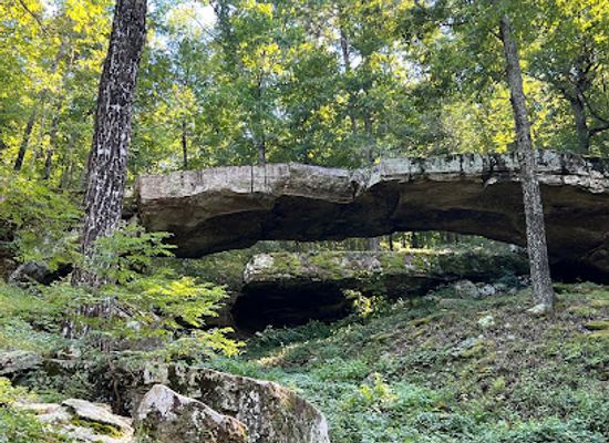 arkansas/central-arkansas/attraction/natural-bridge