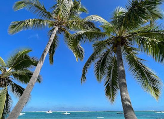 mauritius/seven-coloured-earths/attraction/snorkeling-le-morne