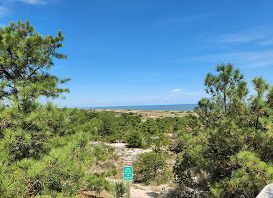 delaware/cape-henlopen-state-park/attraction/fort-miles-museum