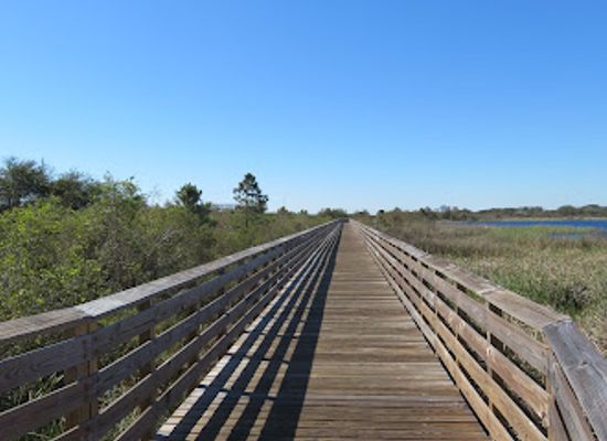 alabama/cotton-bayou/attraction/hugh-s-branyon-backcountry-trail-cotton-bayou-trailhead