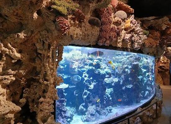 sweden/stockholm/attraction/skansen-aquarium