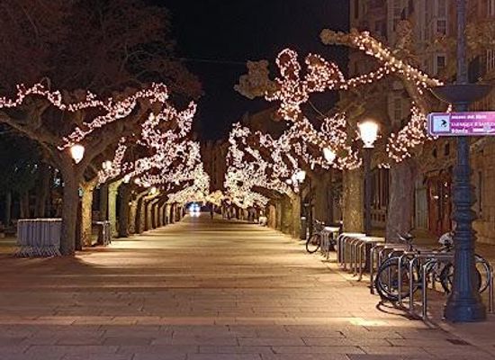 spain/burgos/attraction/p-o-espolon