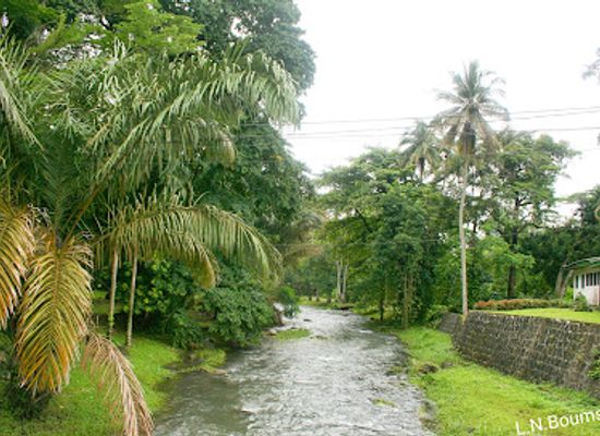 cameroon/bimbia-beach/attraction/limbe-botanic-garden