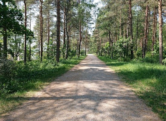 finland/lahti/attraction/tilia-trail-urban-nature-trail