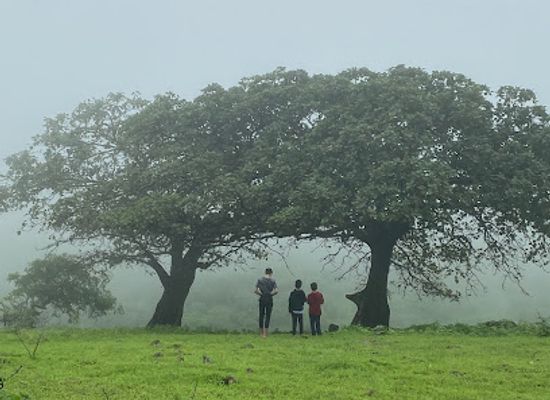 oman/salalah-coastal-plain/attraction/nasra-bint-said-spot