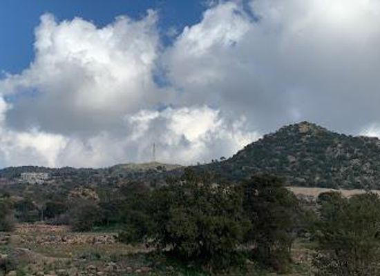 saudi-arabia/makkah/attraction/al-shafa-mountain-park-taif