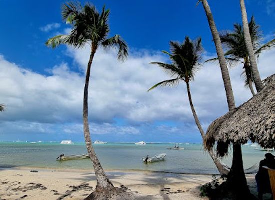 dominican-republic/punta-cana-bavaro/attraction/dolphin-island-park