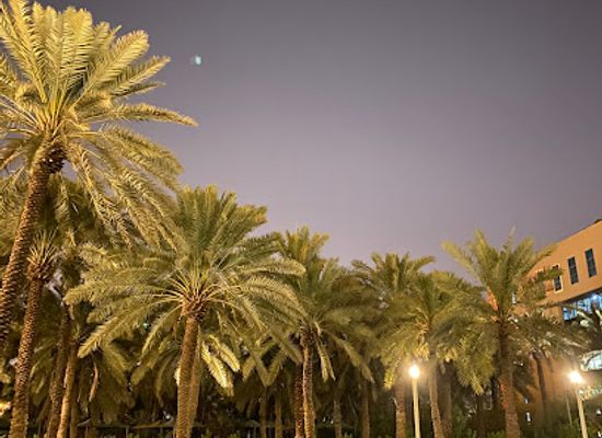 saudi-arabia/najd/attraction/najd-oasis-walkway