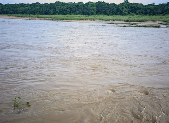 nepal/chitwan-national-park/attraction/east-rapti-riverview