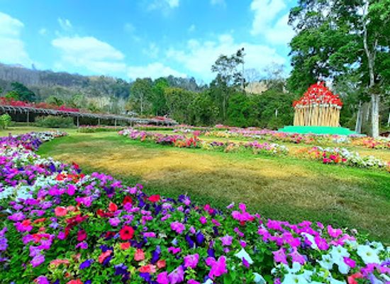 laos/luang-prabang-range/attraction/green-jungle-park