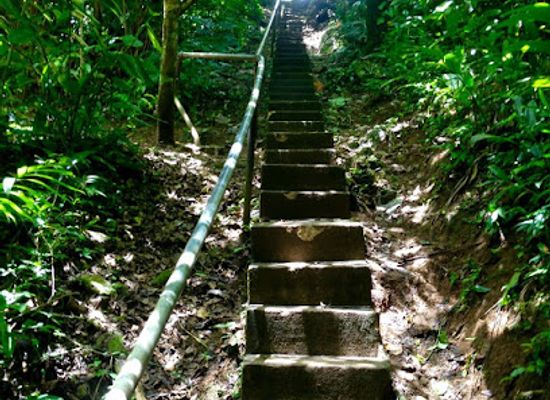 belize/mountain-pine-ridge/attraction/get-to-know-belize-adventure-tours