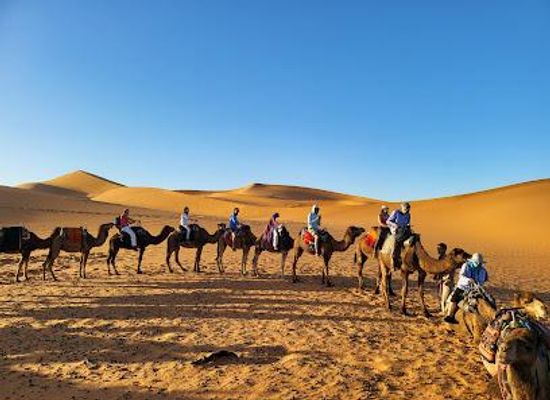morocco/marrakech/attraction/starry-morocco-tours-excursions-from-marrakech