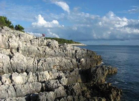 croatia/rovinj/attraction/dinosaur-park